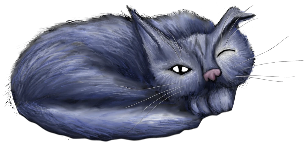 Big Sammy, a fluffy blue cat curled up asleep, one eye half open.